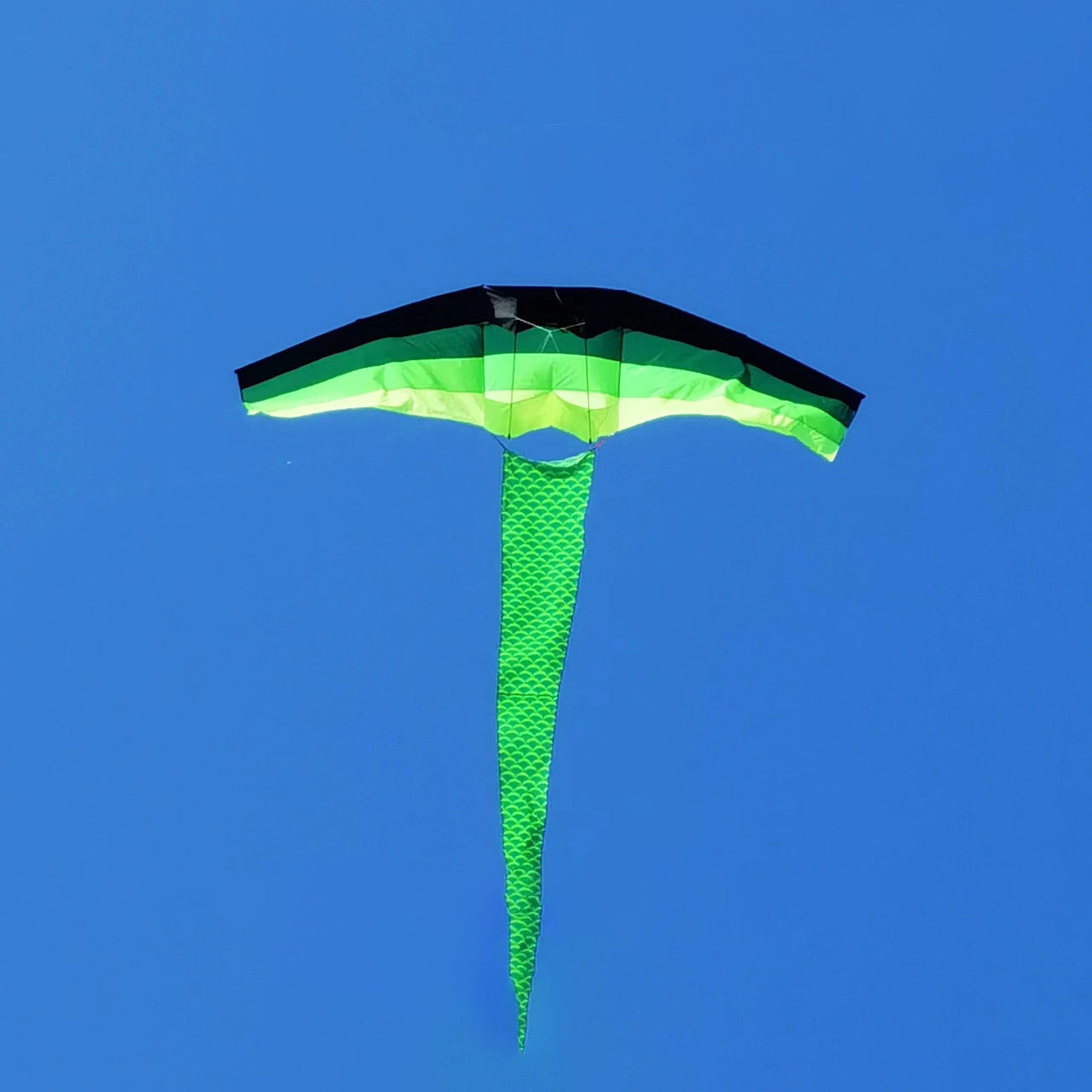 4m Giant Green Glider Kite