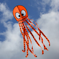 Thumbnail for Wavy octopus kite