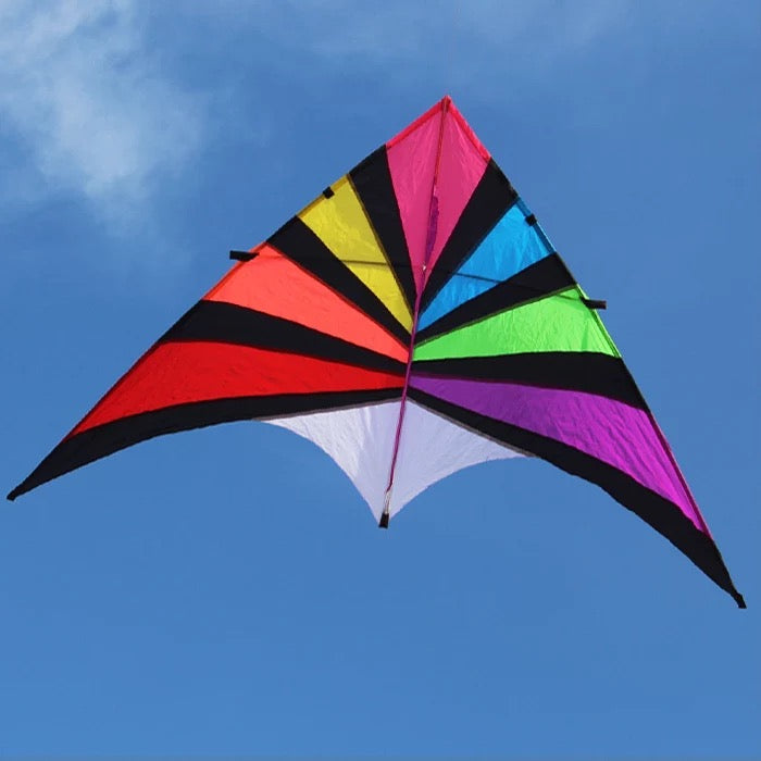 2.8m Giant Radian Delta Kite