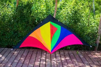 Thumbnail for 1.6m Rainbow Delta Kite