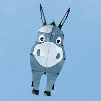 Thumbnail for Donkey Kite