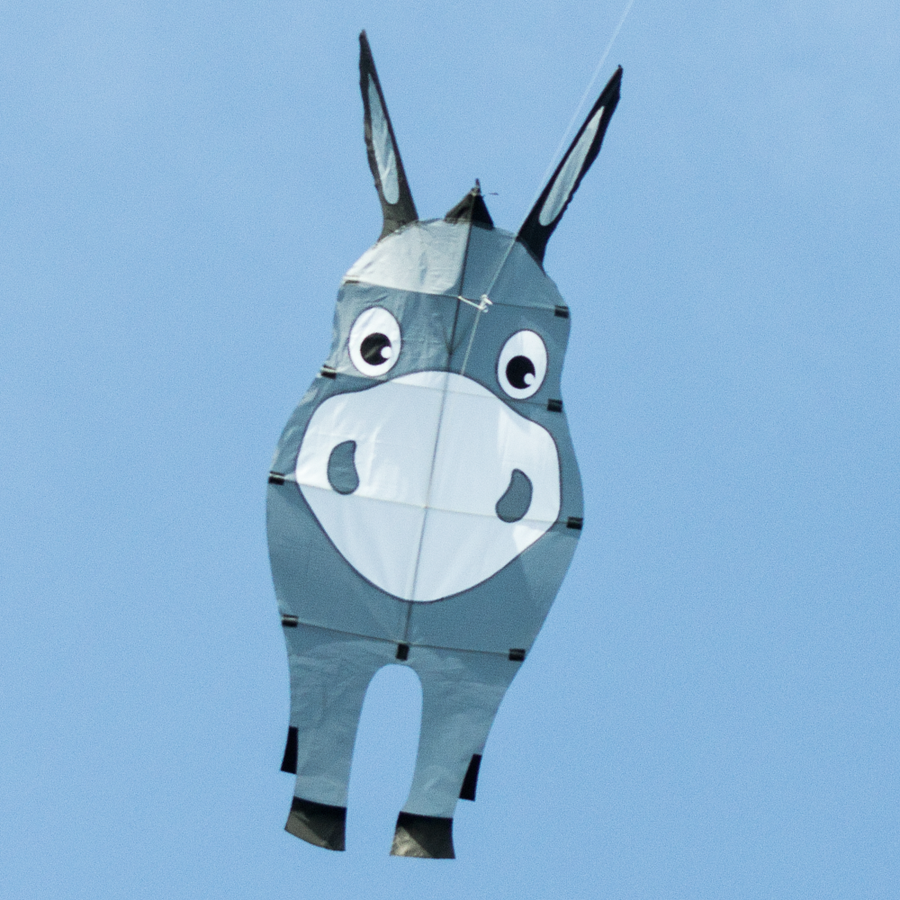 Donkey Kite