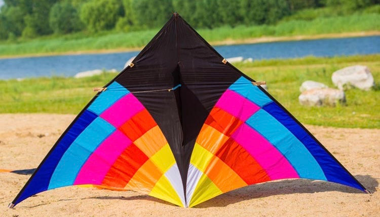 2.8m Giant Black Rider Delta Kite
