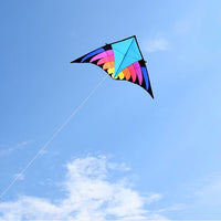 Thumbnail for 5m Giant Blue Rider Delta Kite