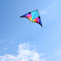 Thumbnail for 3.68m Giant Blue Rider Delta Kite