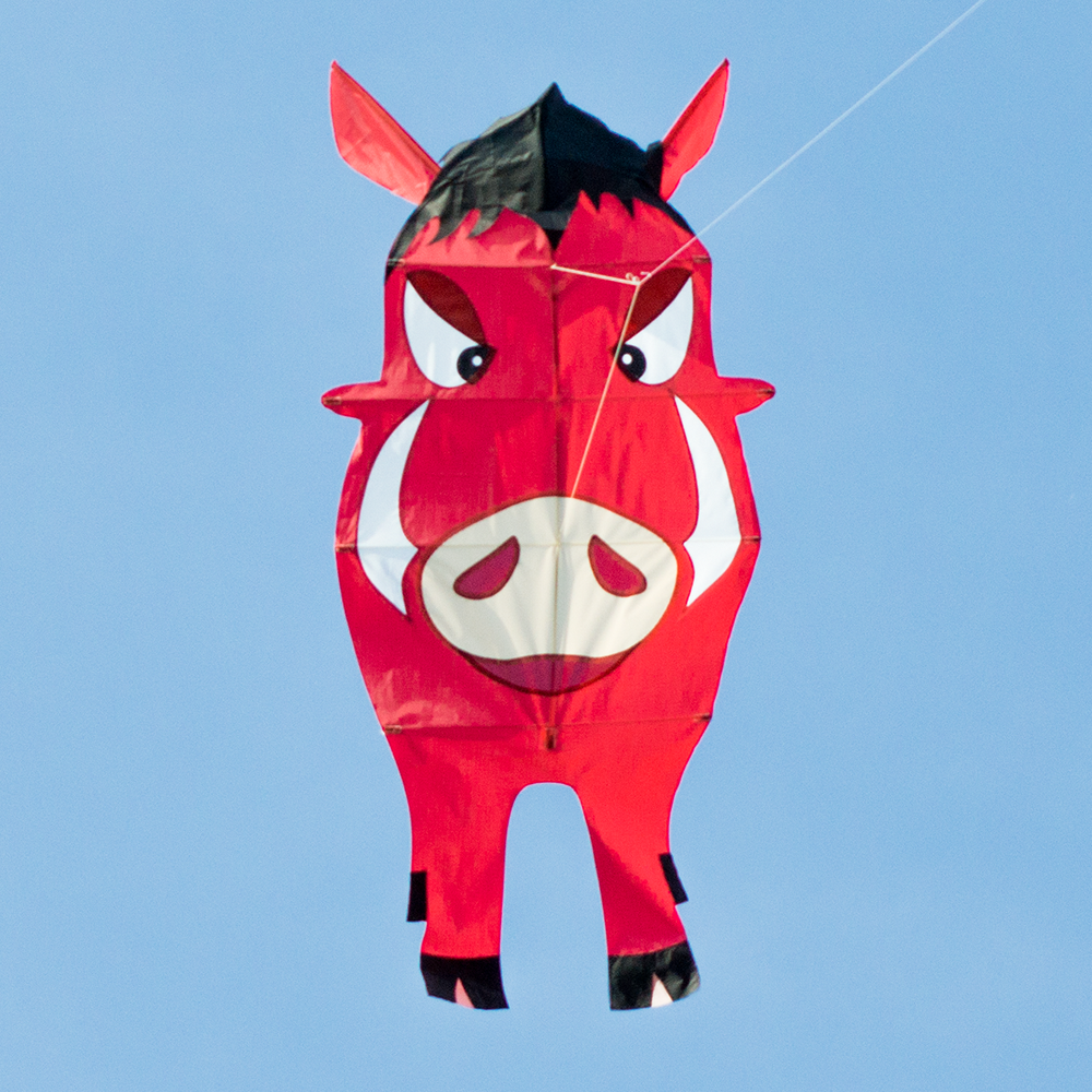 Boar Kite