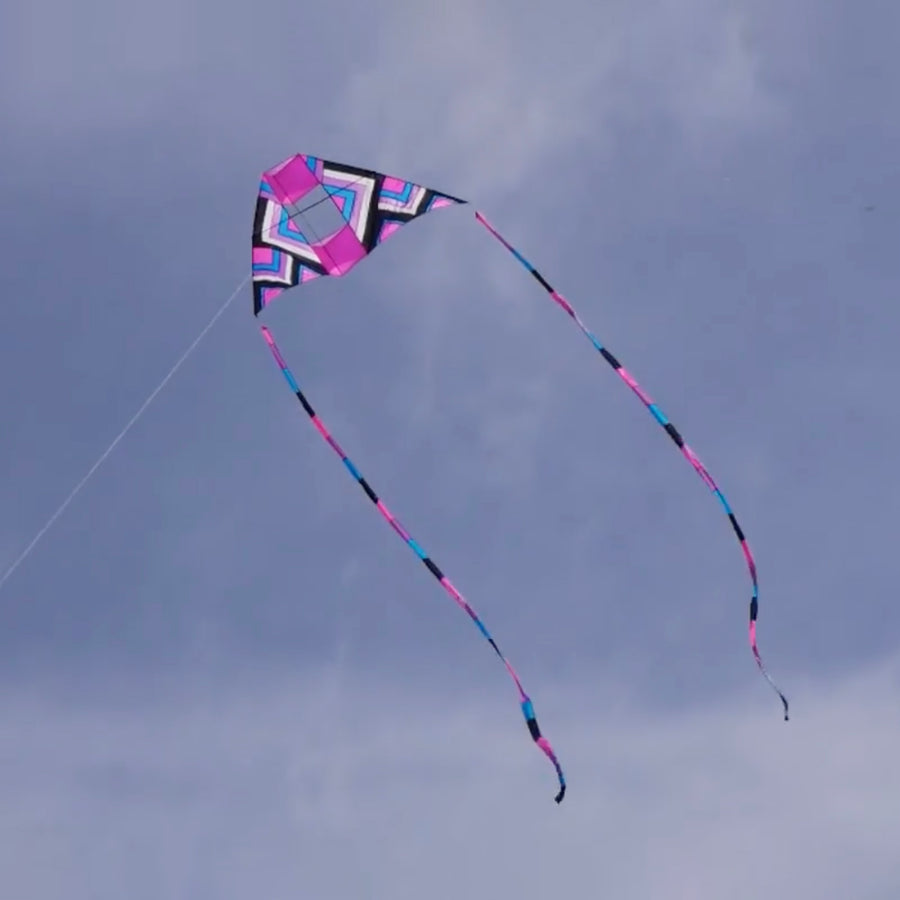 Giant Delta Coyne Pink