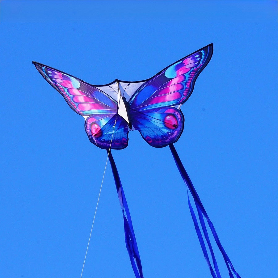 Iris Butterfly Kite