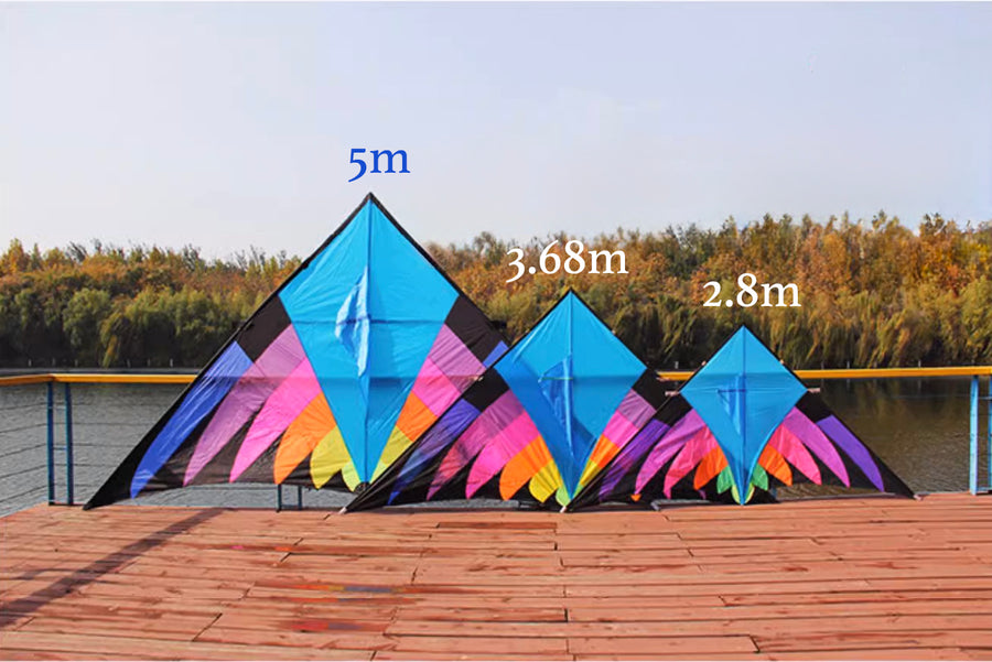 5m Giant Blue Rider Delta Kite