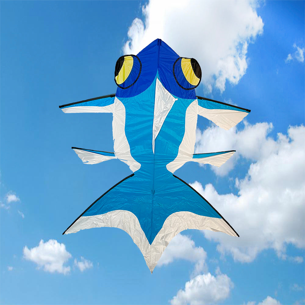 Goldfish Kite Blue