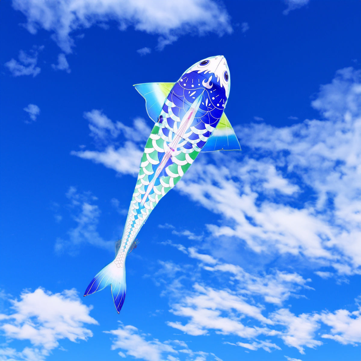 Carp fish blue kite – Kite Culture