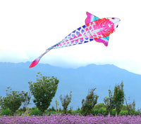 Thumbnail for Carp fish pink kite