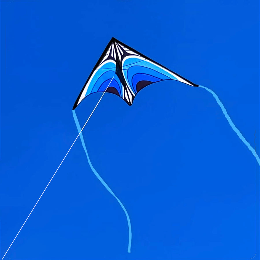Blue Gravitation Delta Kite