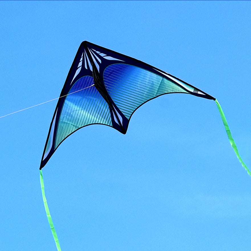 Blue Sea Delta Kite