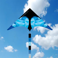 Thumbnail for Ice delta kite