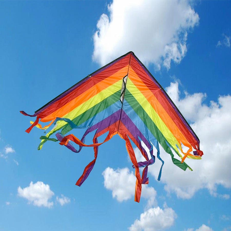 Rainbow Delta Kite