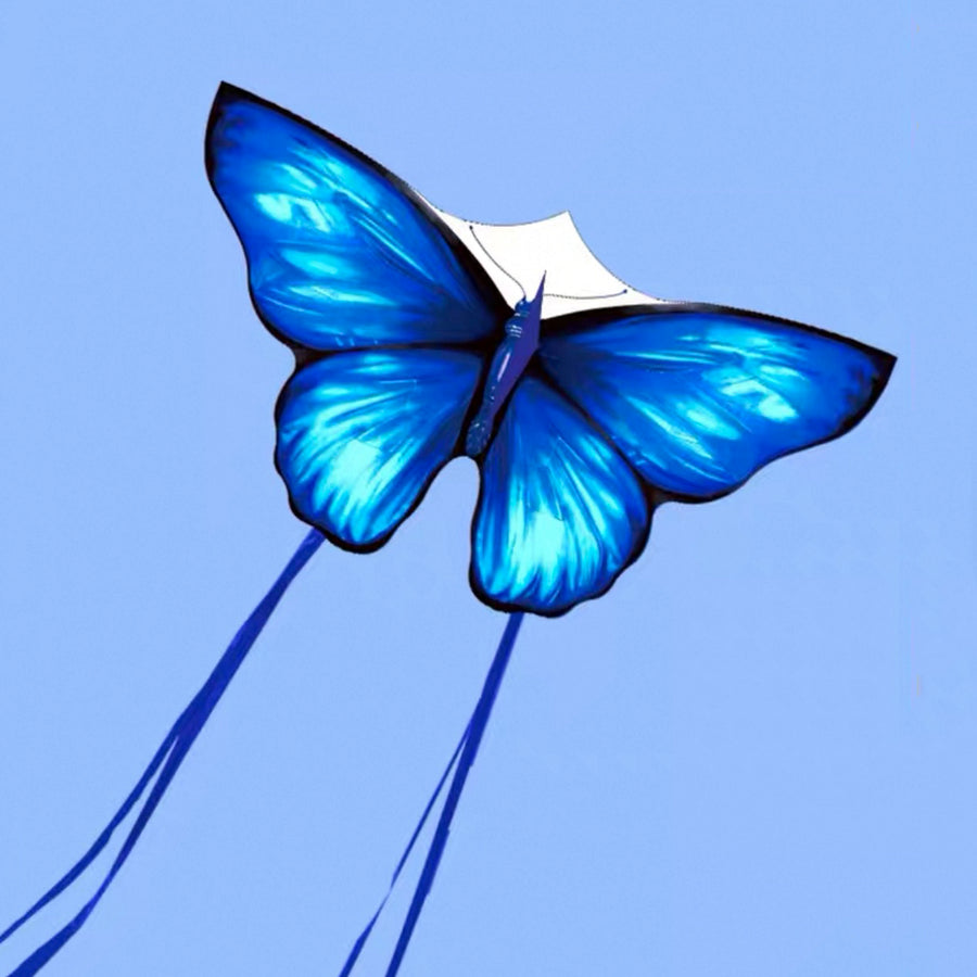 Aurora butterfly kite