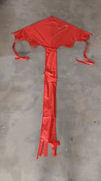 Thumbnail for 1.2m Easy Flyer Delta Kite