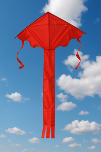 Thumbnail for 1.2m Easy Flyer Delta Kite