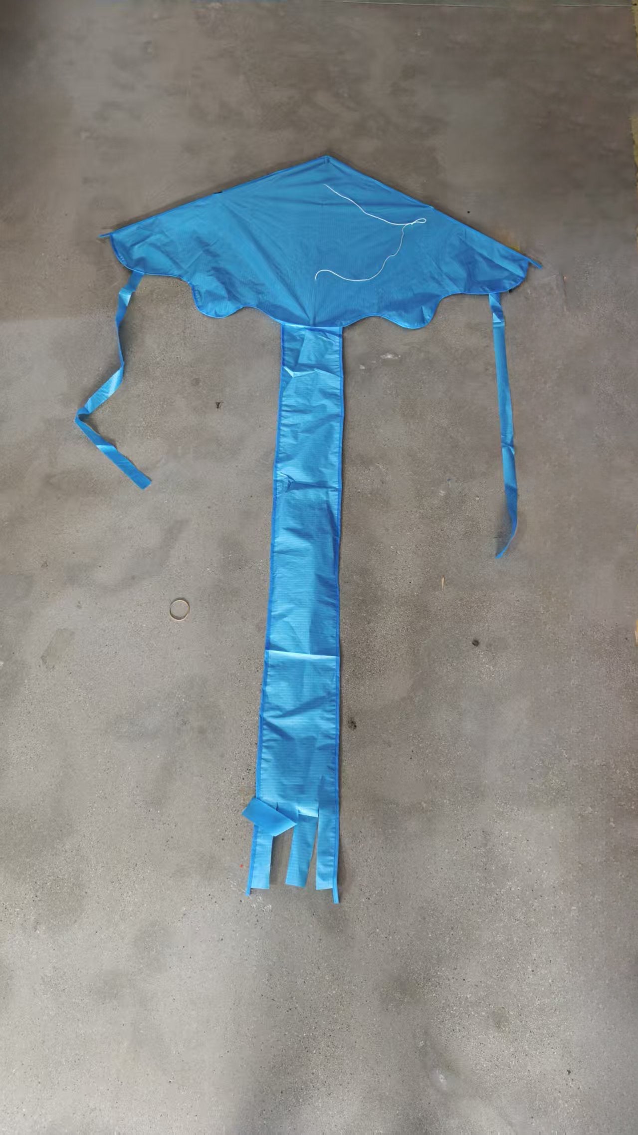 1.2m Easy Flyer Delta Kite