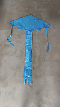 Thumbnail for 1.2m Easy Flyer Delta Kite
