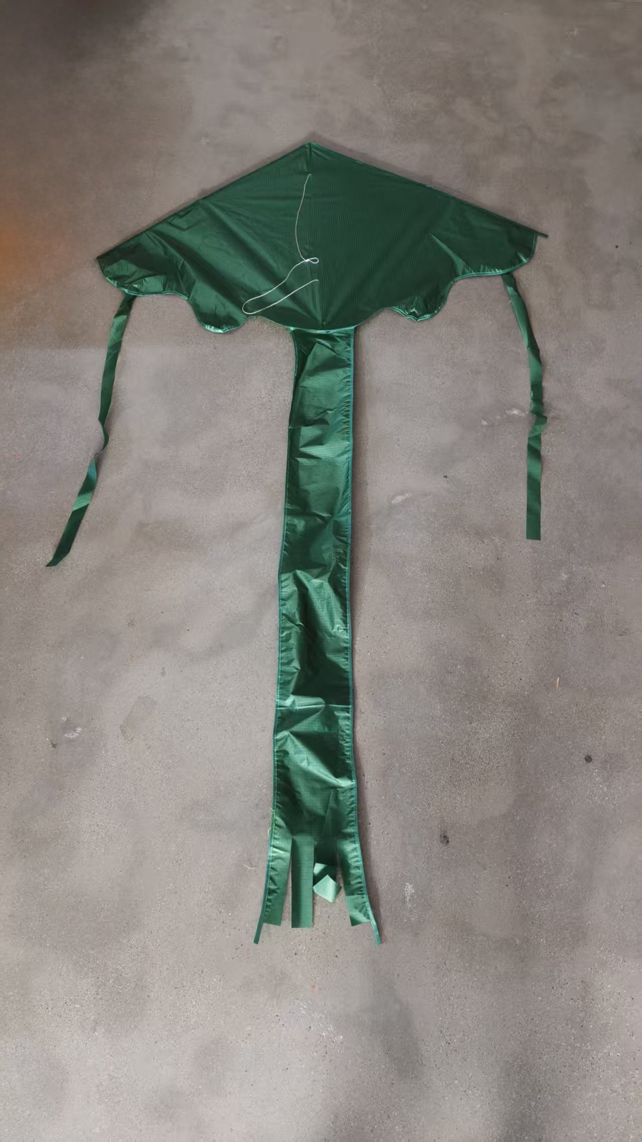1.2m Easy Flyer Delta Kite