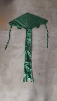 Thumbnail for 1.2m Easy Flyer Delta Kite