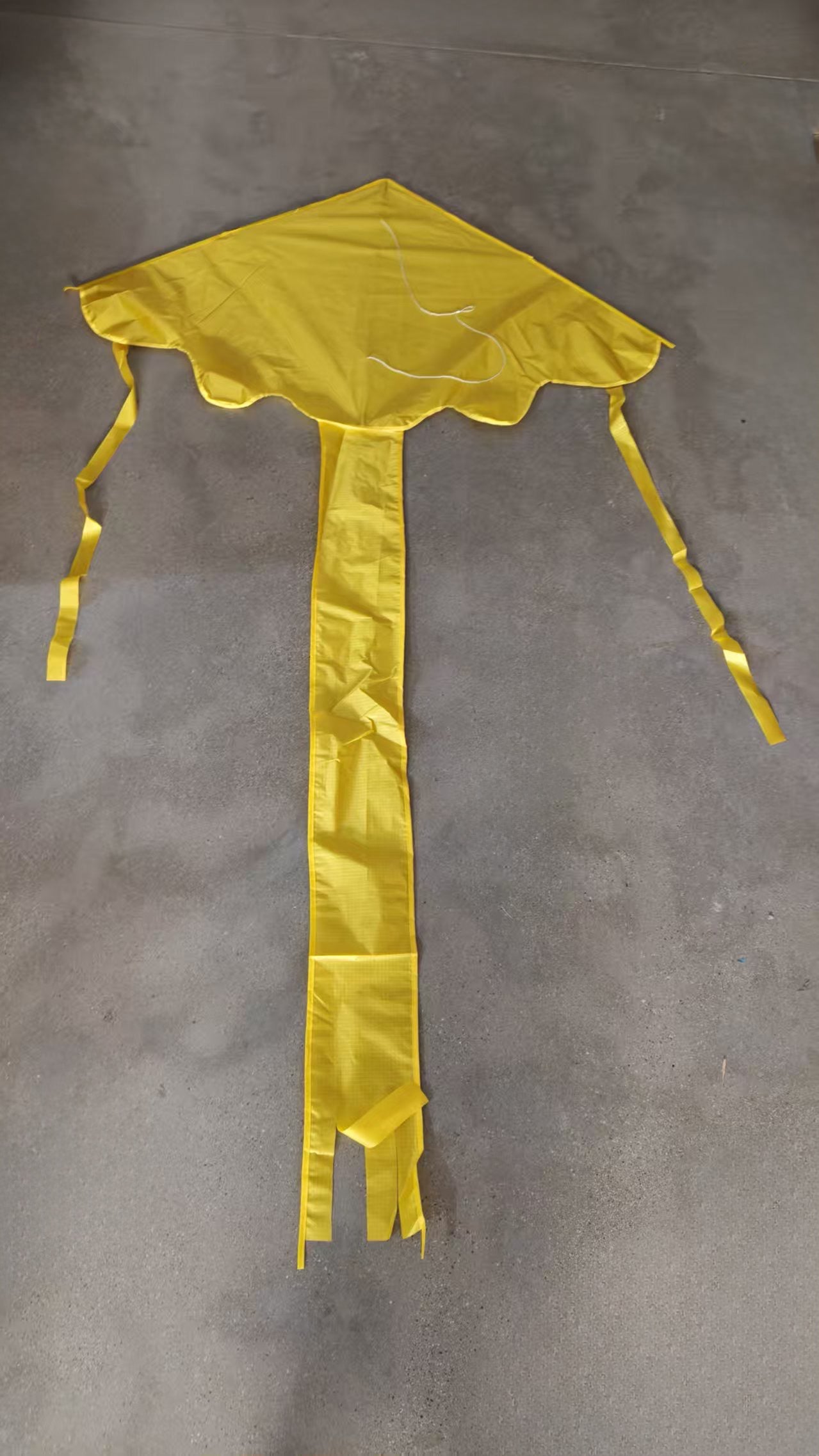 1.2m Easy Flyer Delta Kite