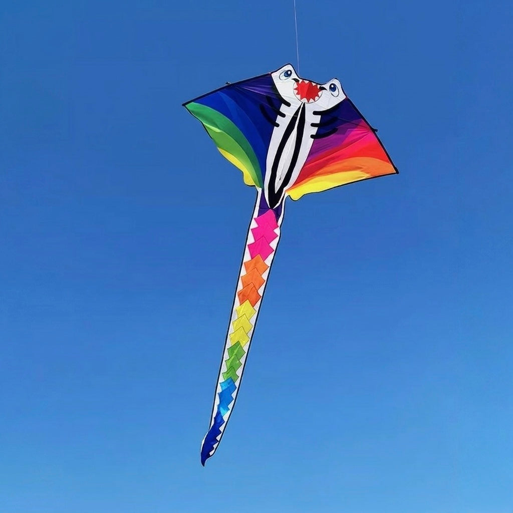 2m Rainbow Ray Kite
