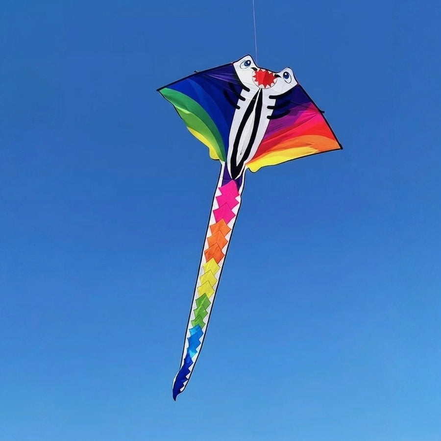 2m Rainbow Ray Kite