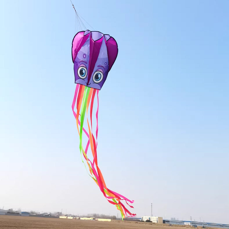 6m Octopus Soft Kite