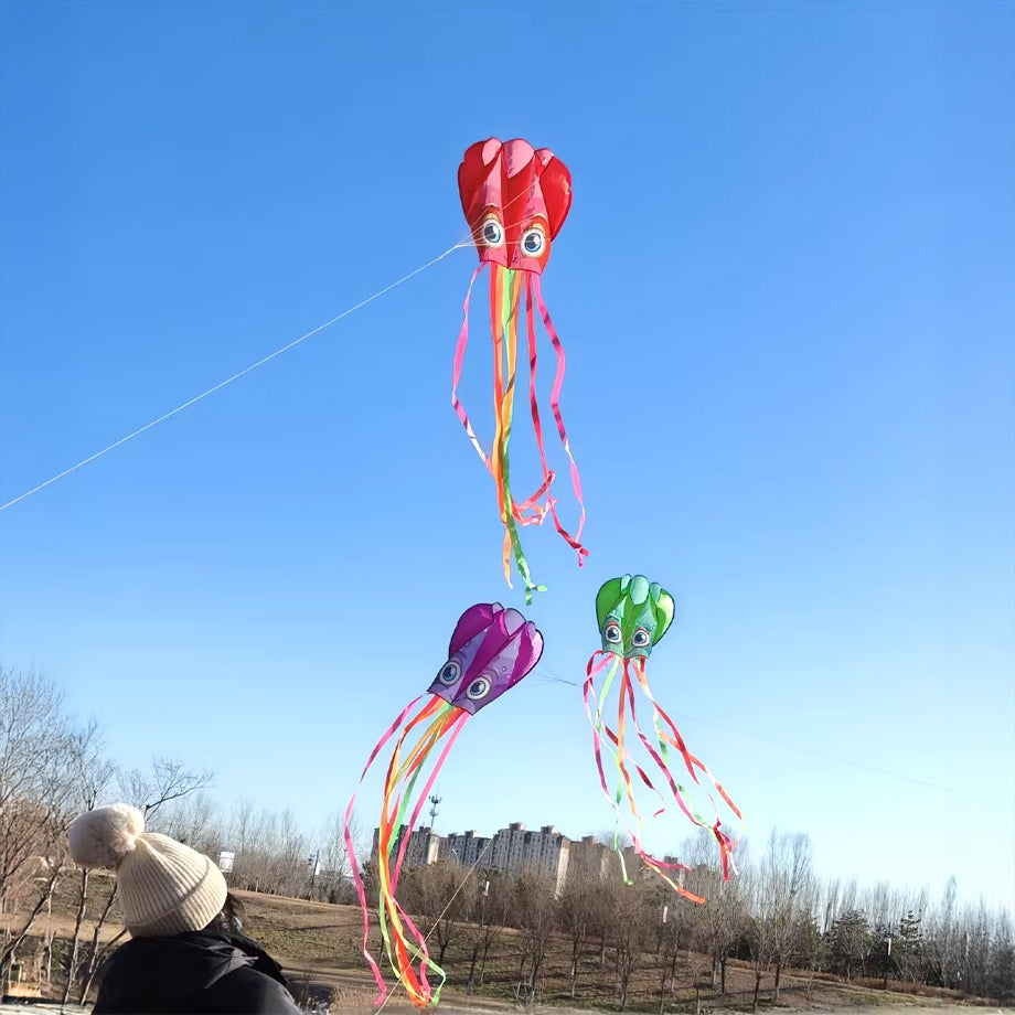 6m Octopus Soft Kite