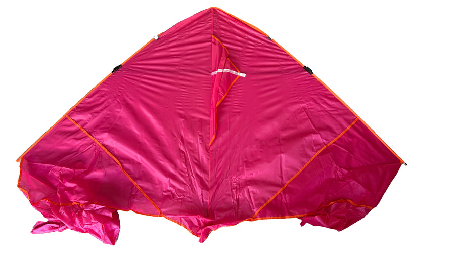 Flo tail delta kite