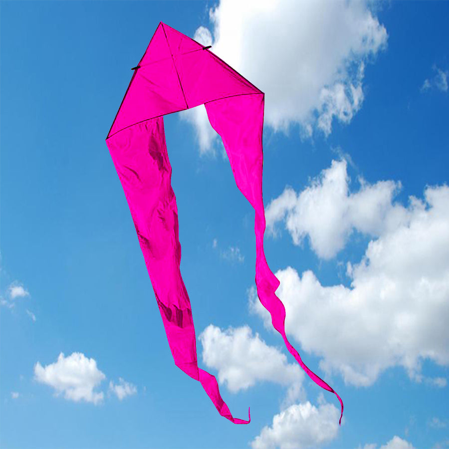 Flo tail delta kite