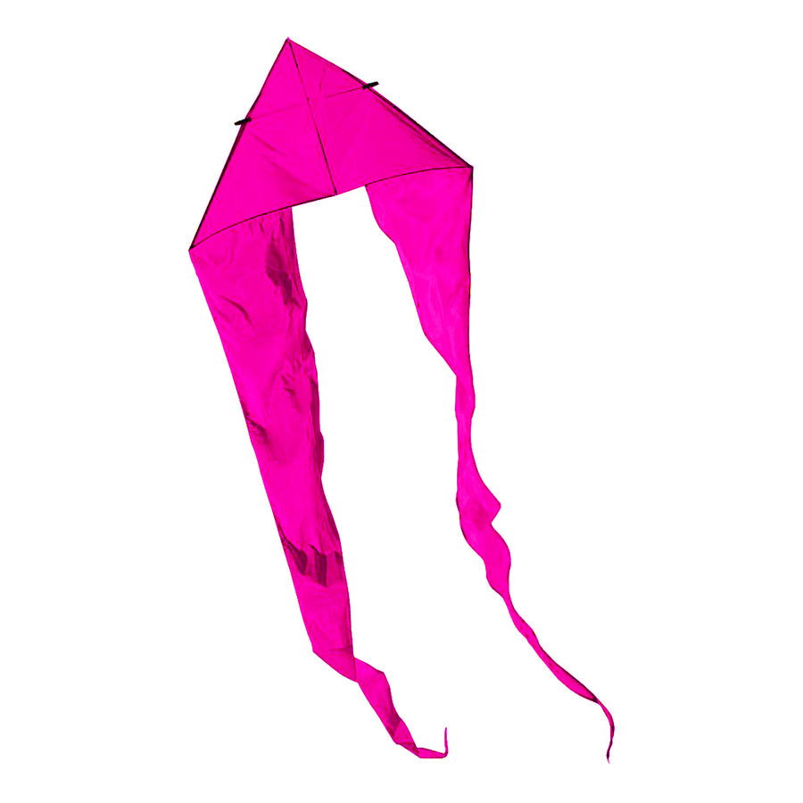 Flo tail delta kite