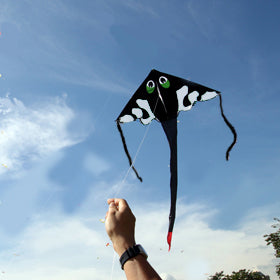 Monster ray Kite