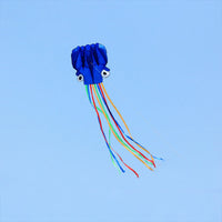 Thumbnail for 5m Octopus Soft Kite (Various Colour)