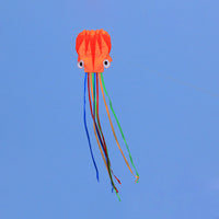 Thumbnail for 5m Octopus Soft Kite (Various Colour)