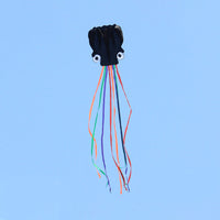 Thumbnail for 5m Octopus Soft Kite (Various Colour)