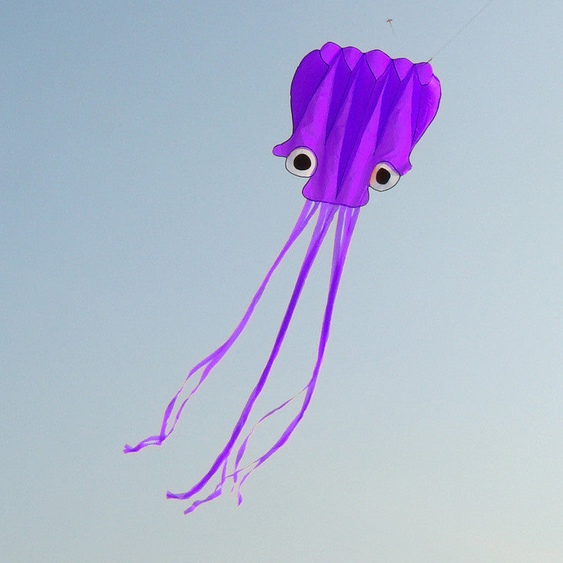 5m Octopus Soft Kite - Purple
