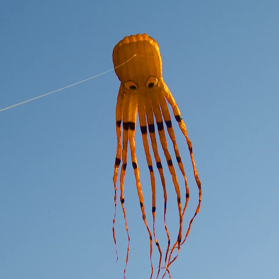 Skywalker Octopus 8m Soft Kite