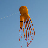 Thumbnail for Skywalker Octopus 8m Soft Kite