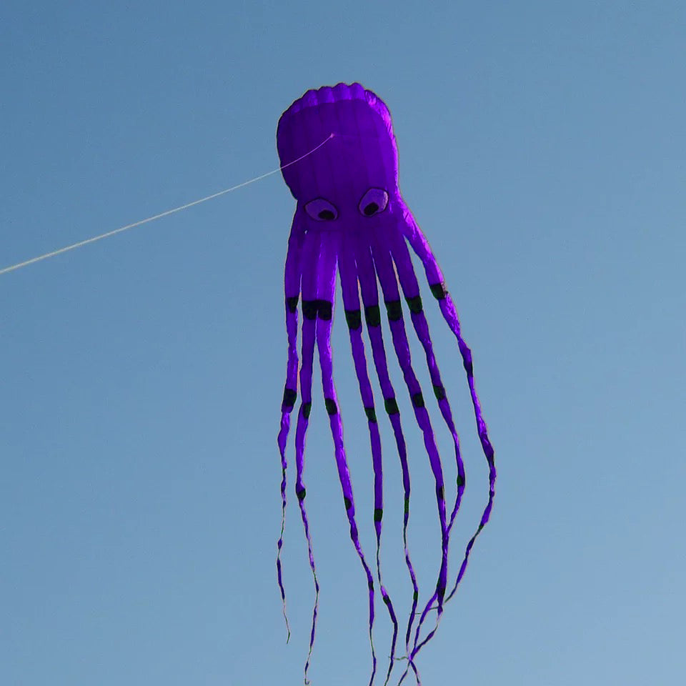 Skywalker Octopus 8m Soft Kite