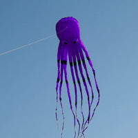 Thumbnail for Skywalker Octopus 8m Soft Kite