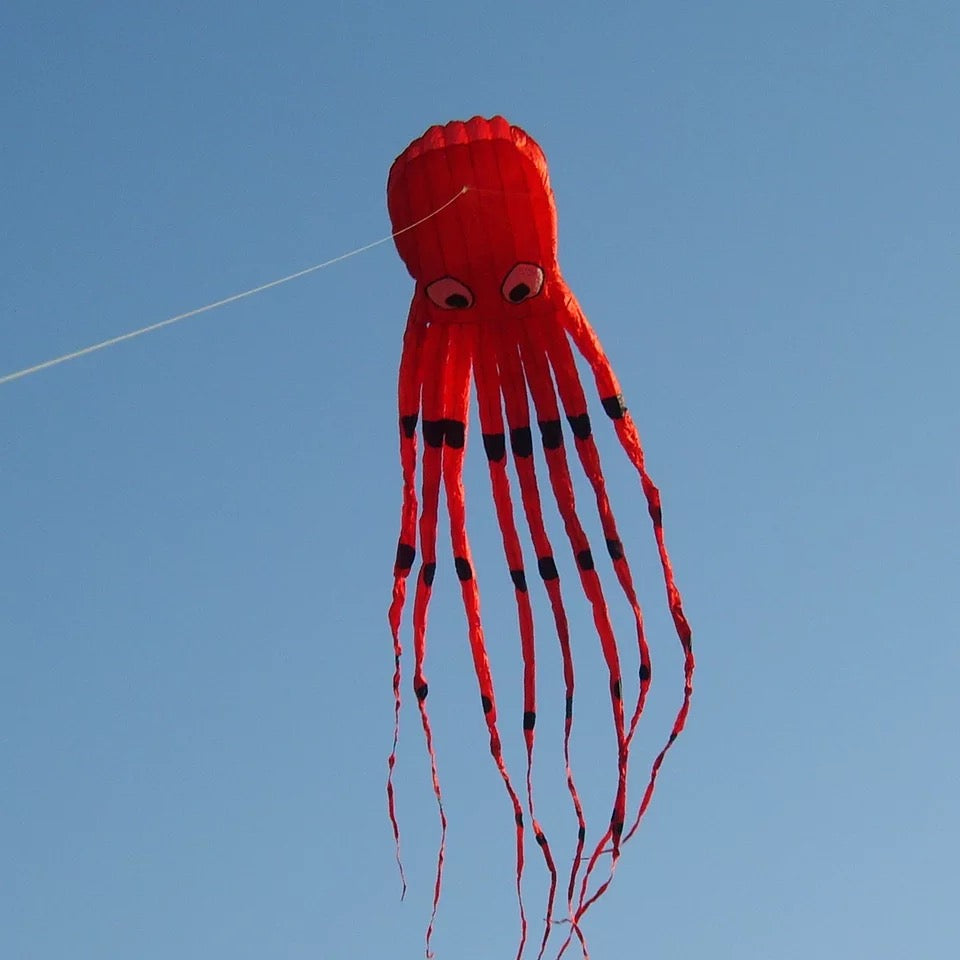 Skywalker Octopus 8m Soft Kite