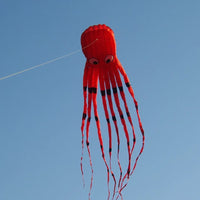 Thumbnail for Skywalker Octopus 8m Soft Kite