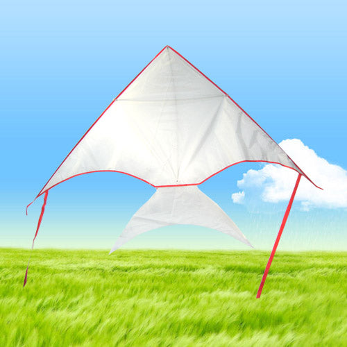 DIY Draw-it-yourself Fish Kite