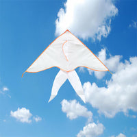 Thumbnail for DIY Draw-it-yourself Bird Kite