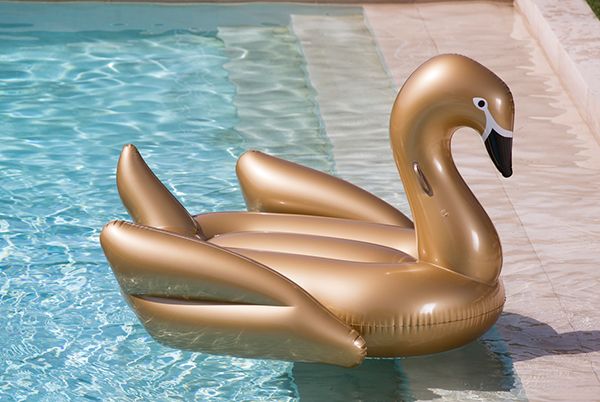 Gold Swan Float