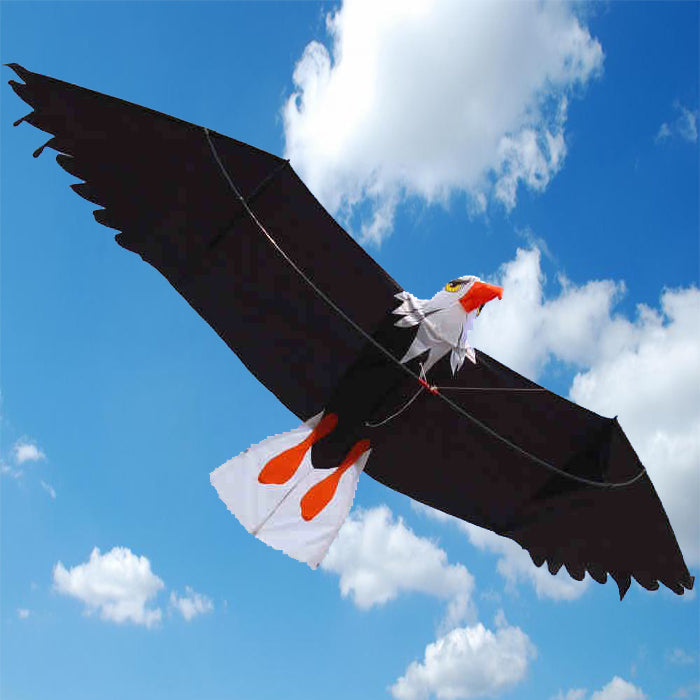 3D Bald Eagle Kite